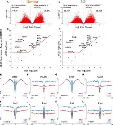 Benchmarking of ATAC Sequencing Data From BGI’s Low-Cost DNBSEQ-G400 Instrument for Identification of Open and Occupied Chromatin Regions